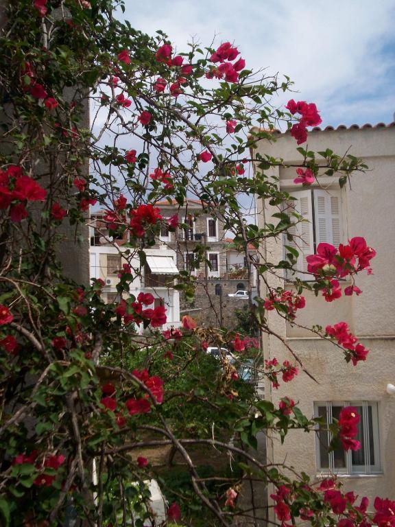 Anzac Golden Bed Pension Kusadası Exterior foto